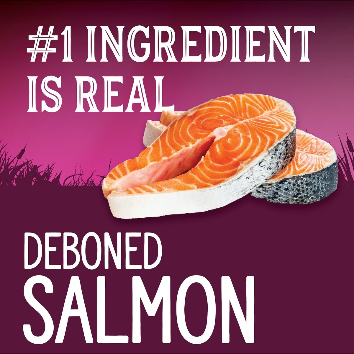 Triumph Wild Spirit Deboned Salmon and Sweet Potato Recipe Dry Cat Food