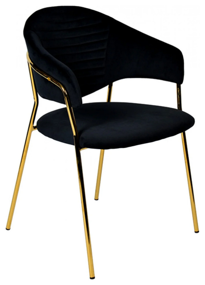 Tilly Modern Black Velvet and Gold Dining Chair  Set of 2   Midcentury   Dining Chairs   by V.S.D Furniture  Houzz