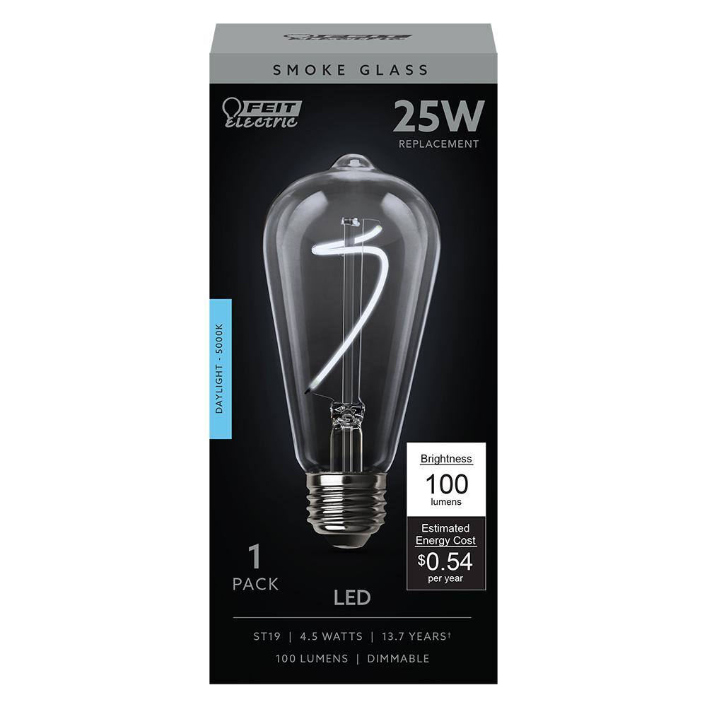 Feit Electric 25-Watt Equivalent ST19 Dimmable Curve Filament Smoke Glass Vintage Edison LED Light Bulb Daylight (12-Pack) ST197SMKLEDHDRP12