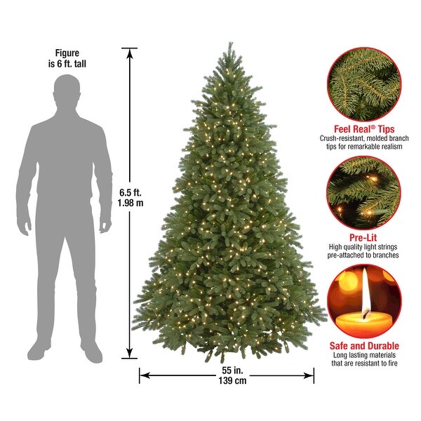 National Tree Company 6.5 ft. Jersey Fraser Fir Tree with Clear Lights