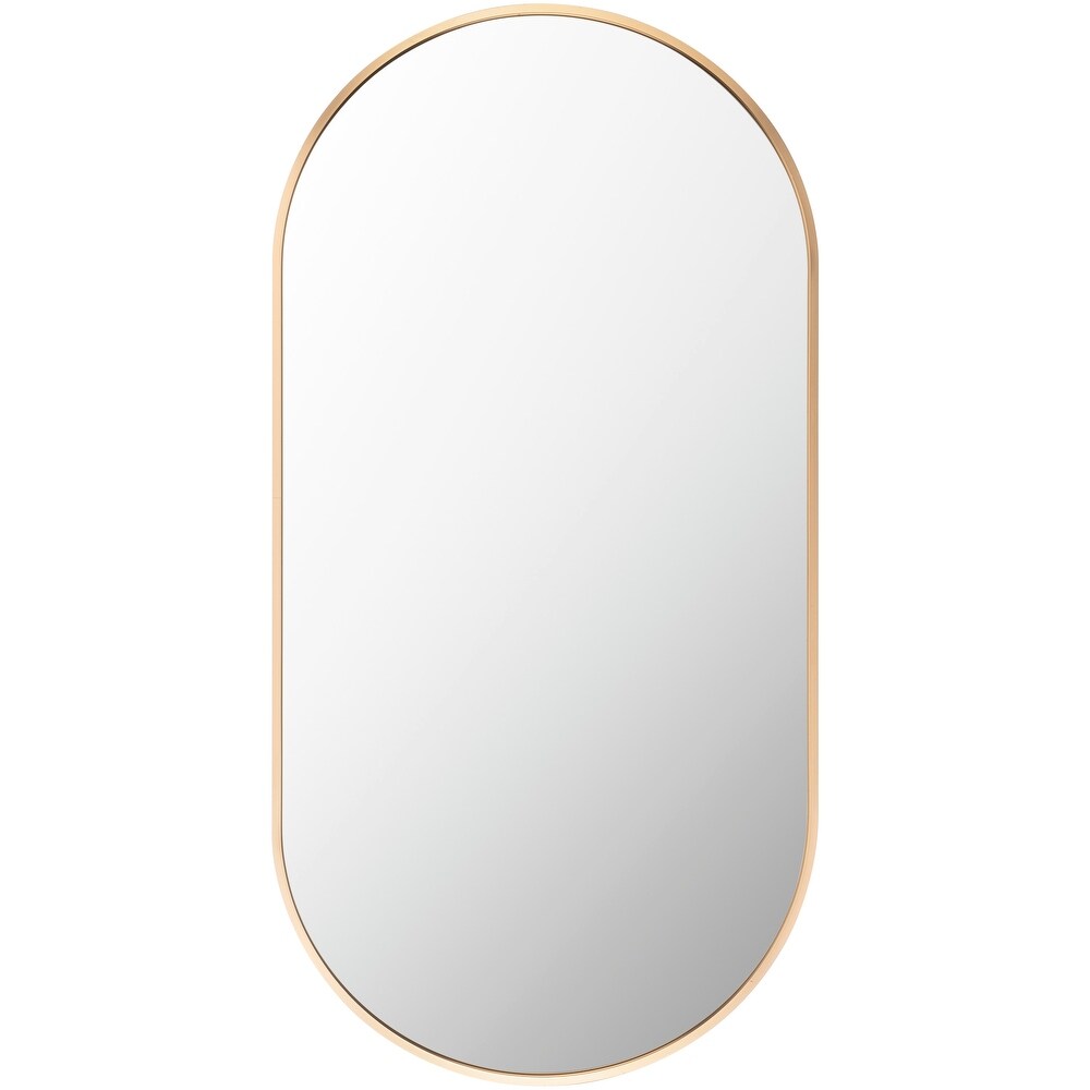 Artistic Weavers Aranya Modern Aluminum Oval Pill Shaped Accent Mirror