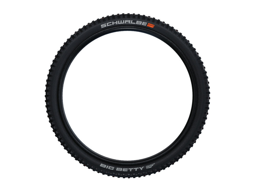 Schwalbe Big Betty Evolution 29