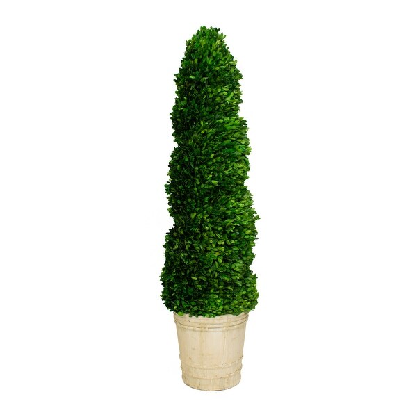 Preserved Boxwood Topiary