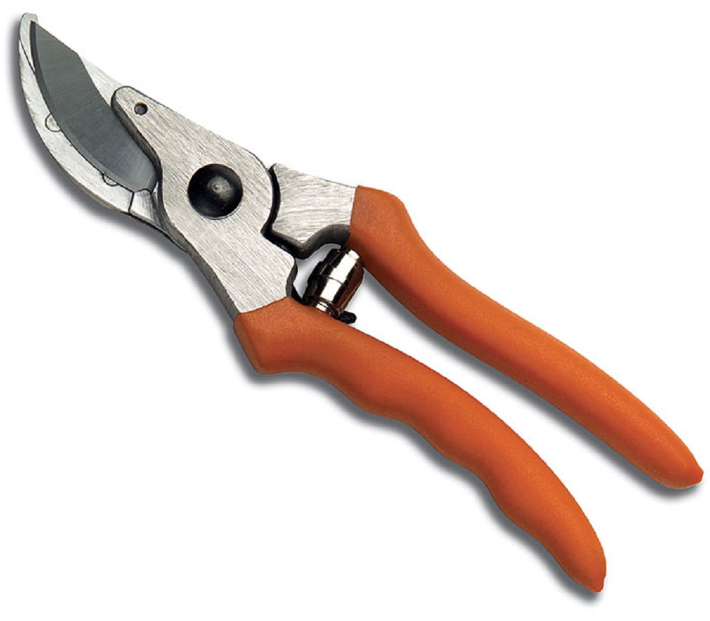 PP 10 Hand Pruner