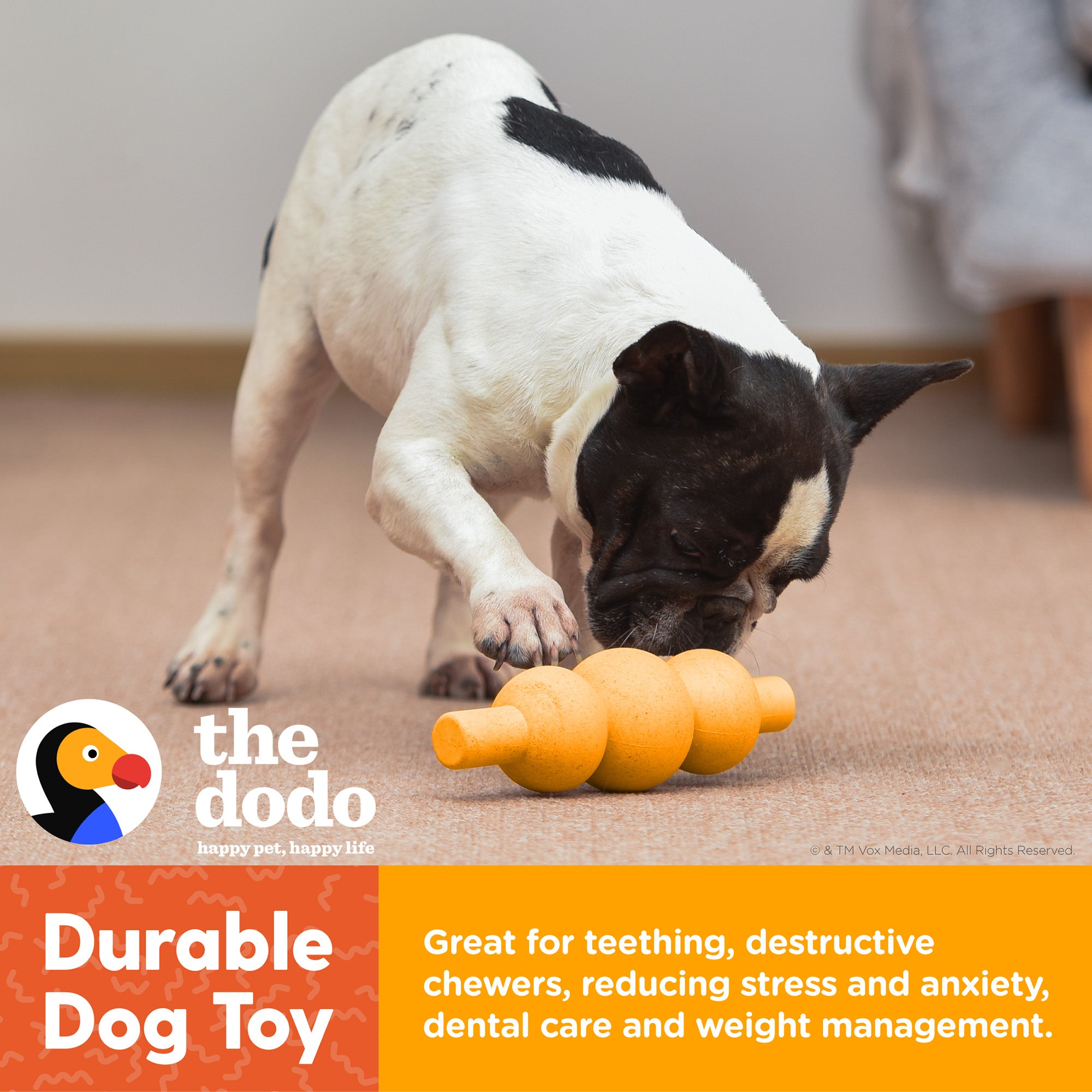 The Dodo Bamboo Dental Chew Toy in Chicken Flavor