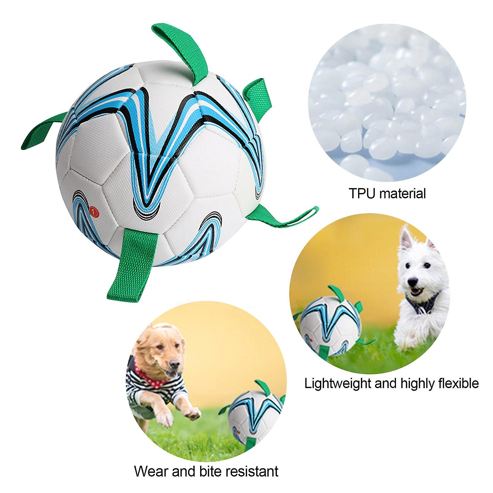 Interactive outdoor dog toy soccer ball