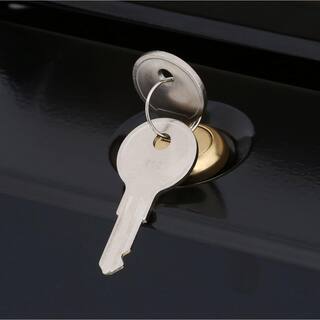 Architectural Mailboxes Designer Black with Brushed Brass Medium Steel Locking Wall Mount Mailbox DVKGB00AM