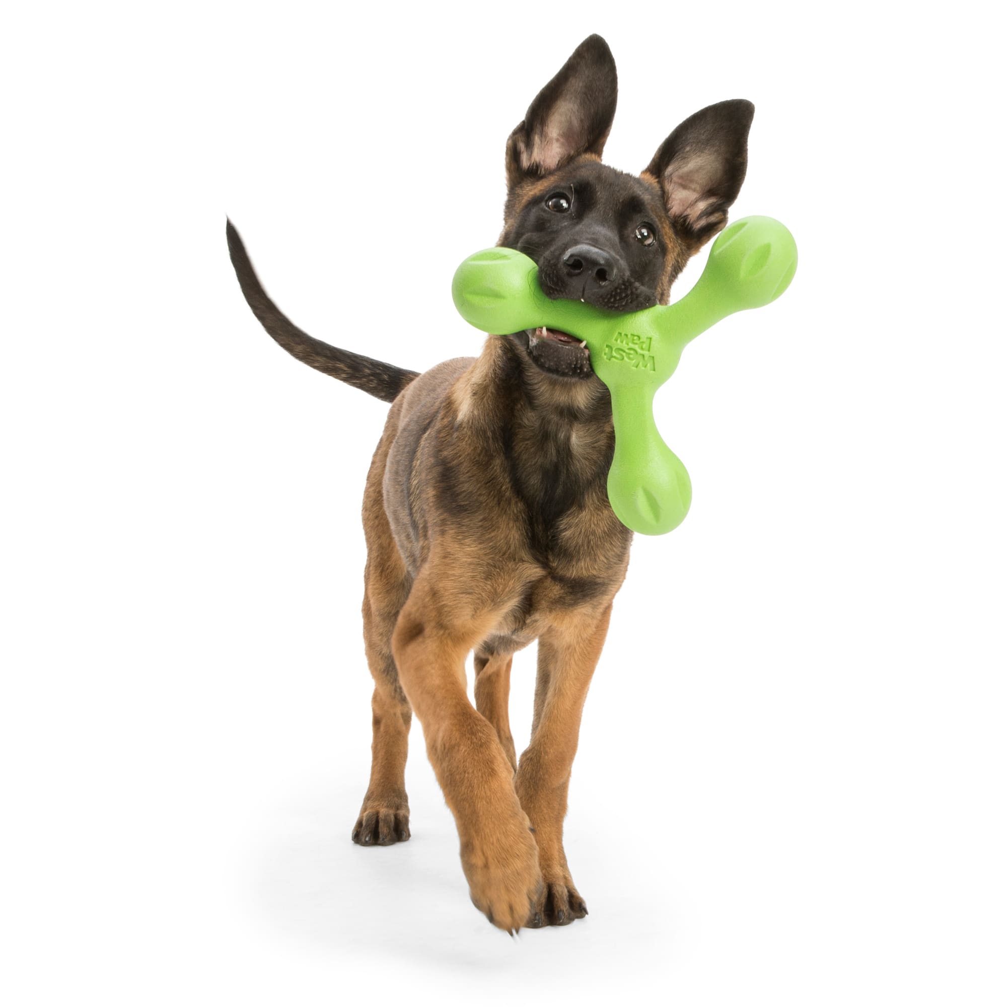 West Paw Skamp Fetch Assorted Dog Chew Toy， Large