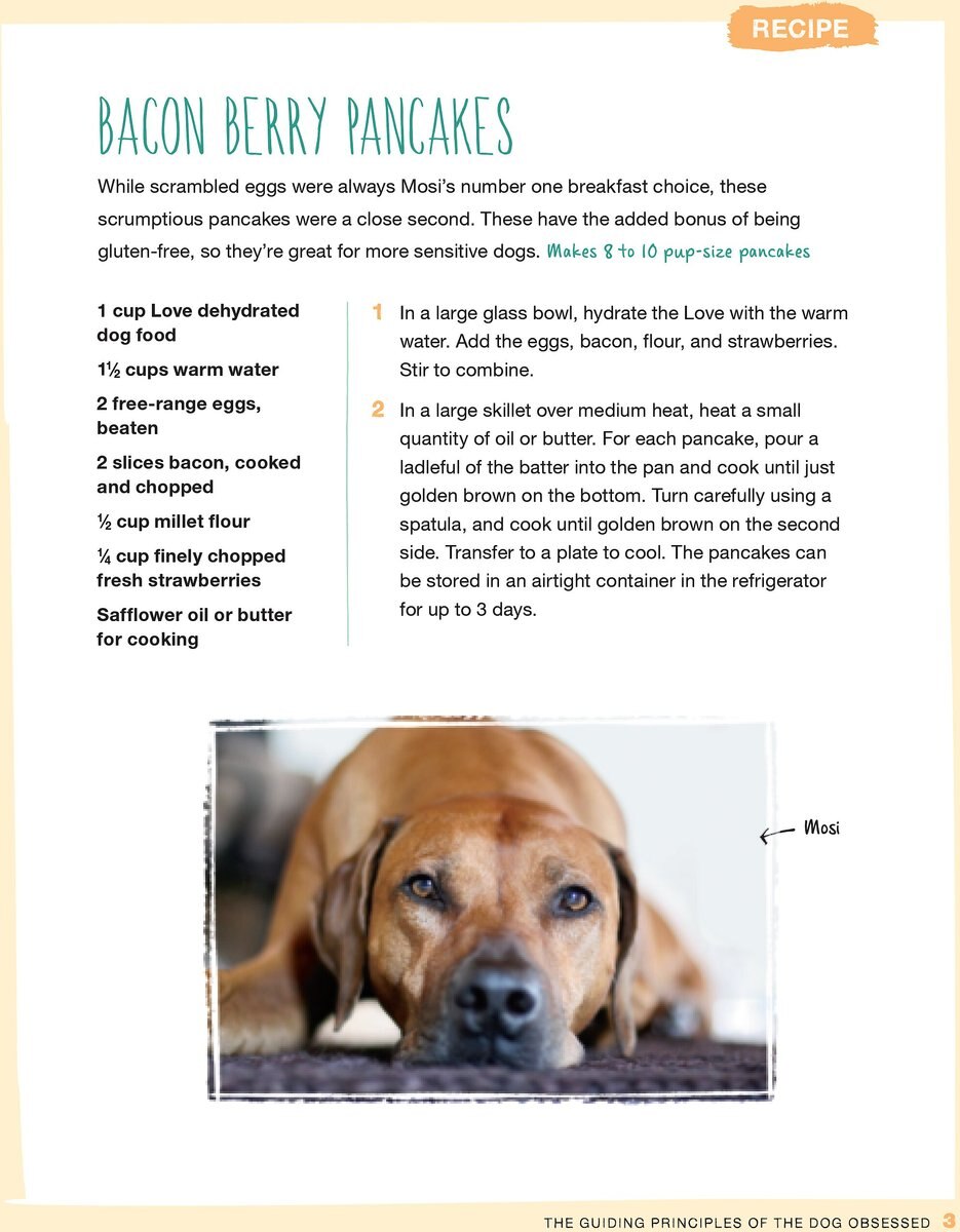 The Honest Kitchen Dog Obsessed， A Guide to a Happier， Healthier Life for the Pup You Love