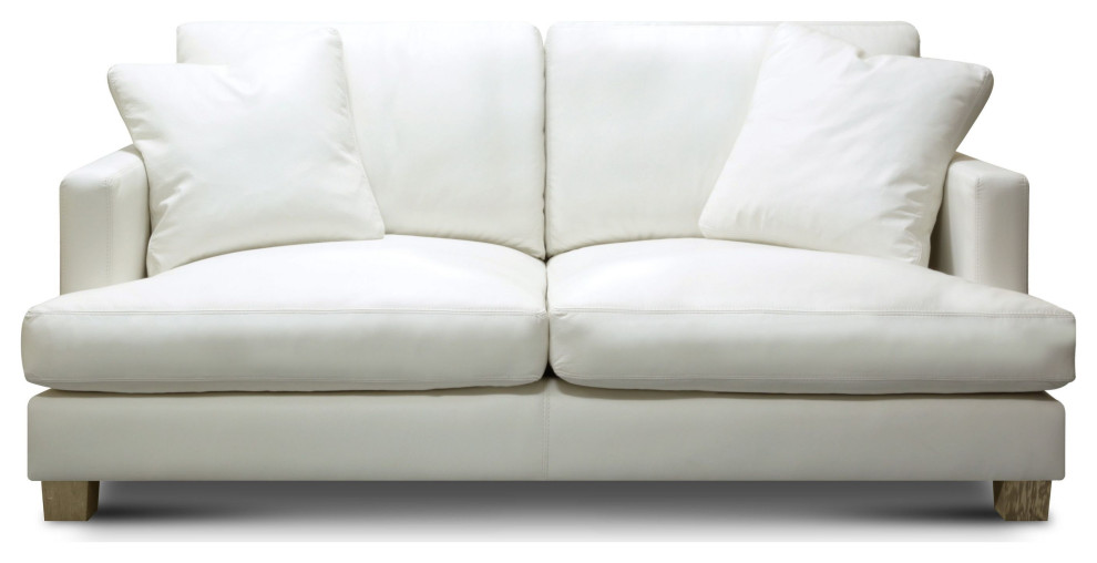 Galaxy 100% Top Grain Leather Modern Loveseat Sofa   Contemporary   Loveseats   by Hello Sofa Home  Houzz