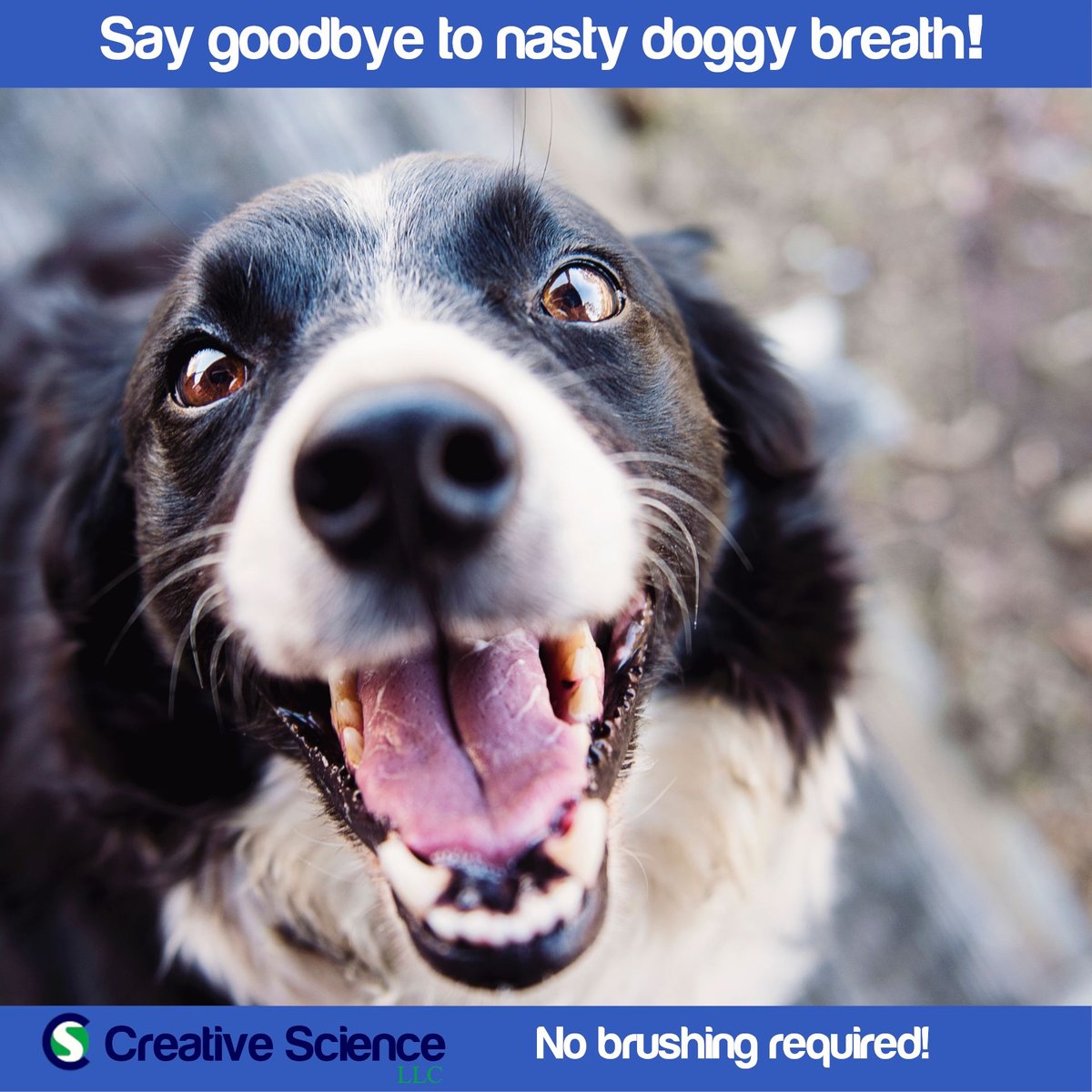 Creative Science BreathaLyser Dog and Cat Dental Water Additive