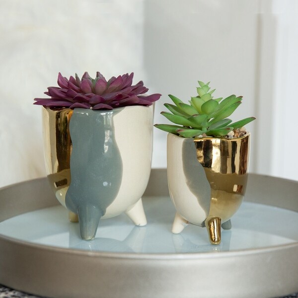 Succulent in 5 3TONE FOOTED CERAMIC，GREY