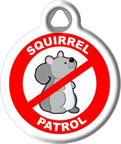 Dog Tag Art Squirrel Patrol Personalized Dog and Cat ID Tag