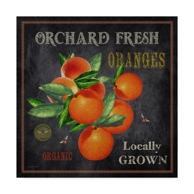 Trademark Fine Art jean Plout x27 orchard Fresh Oranges x27 Canvas Art