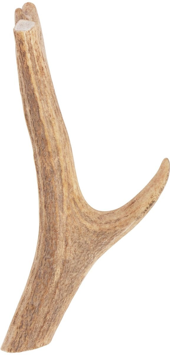 Redbarn Whole Deer Antler Dog Chew