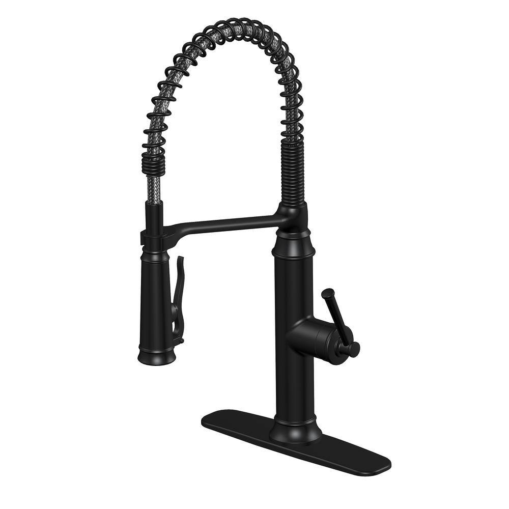 Glacier Bay Linscott Single Handle Coil Spring Neck Pull Down Sprayer Kitchen Faucet in Matte Black HDQFP1B4202BL