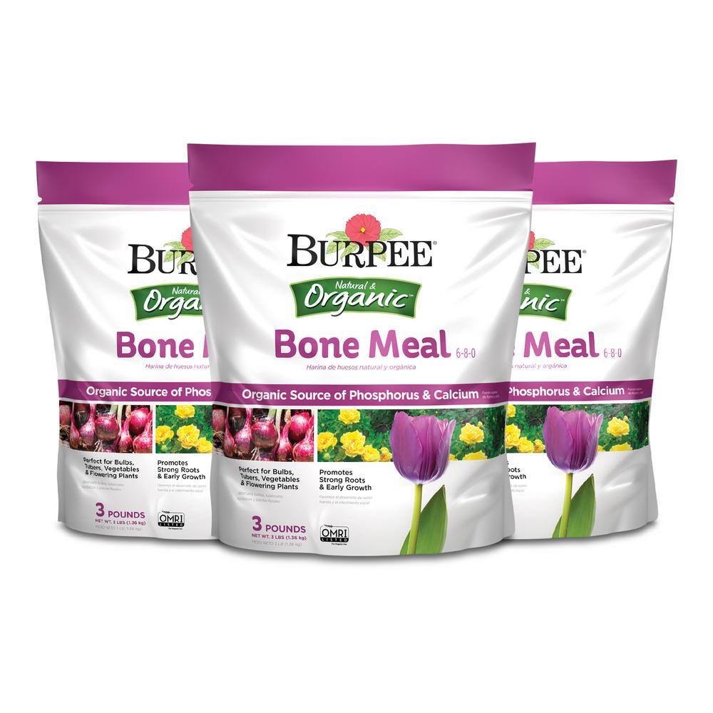 Burpee Natural  Organic 3 lbs. Bone Meal Granule Plant Food (3-Pack) DCBP3BO3