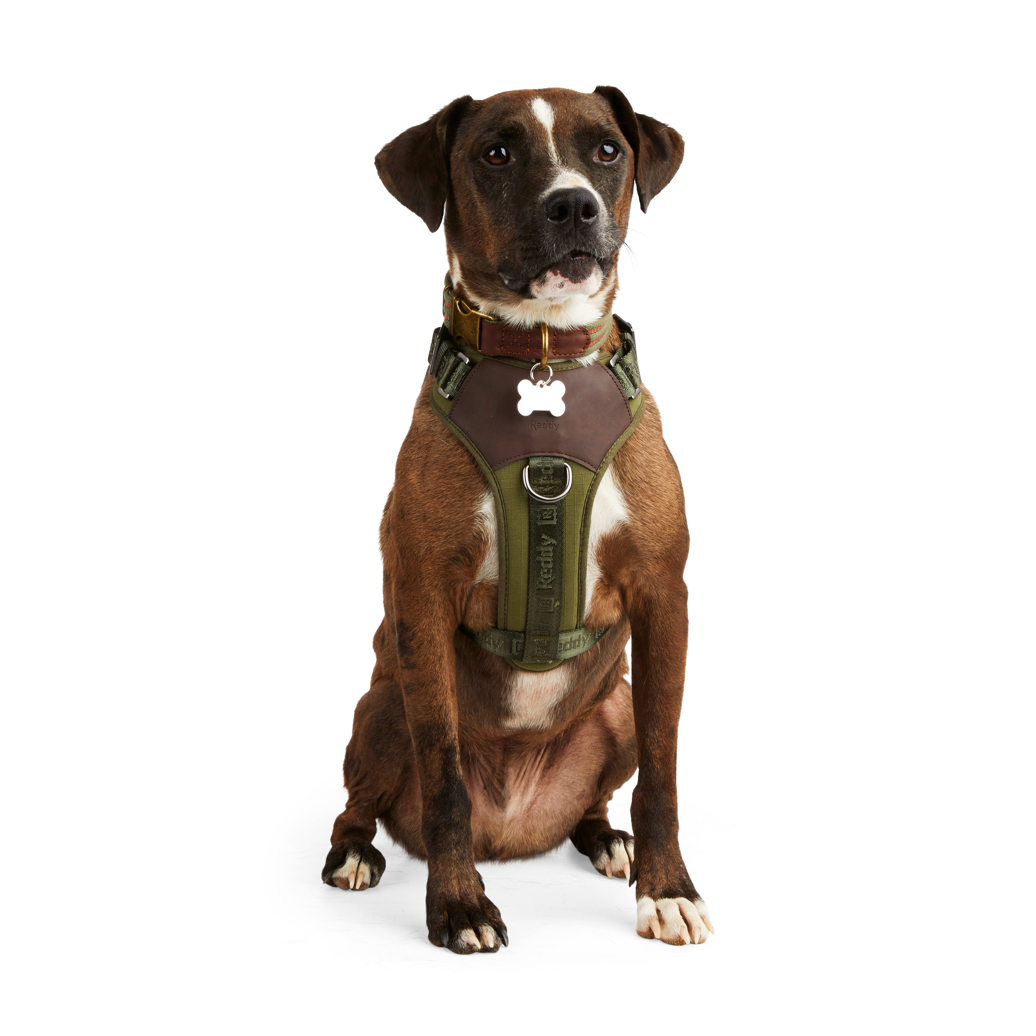 REDDY Olive Jacquard Dog Harness， Medium