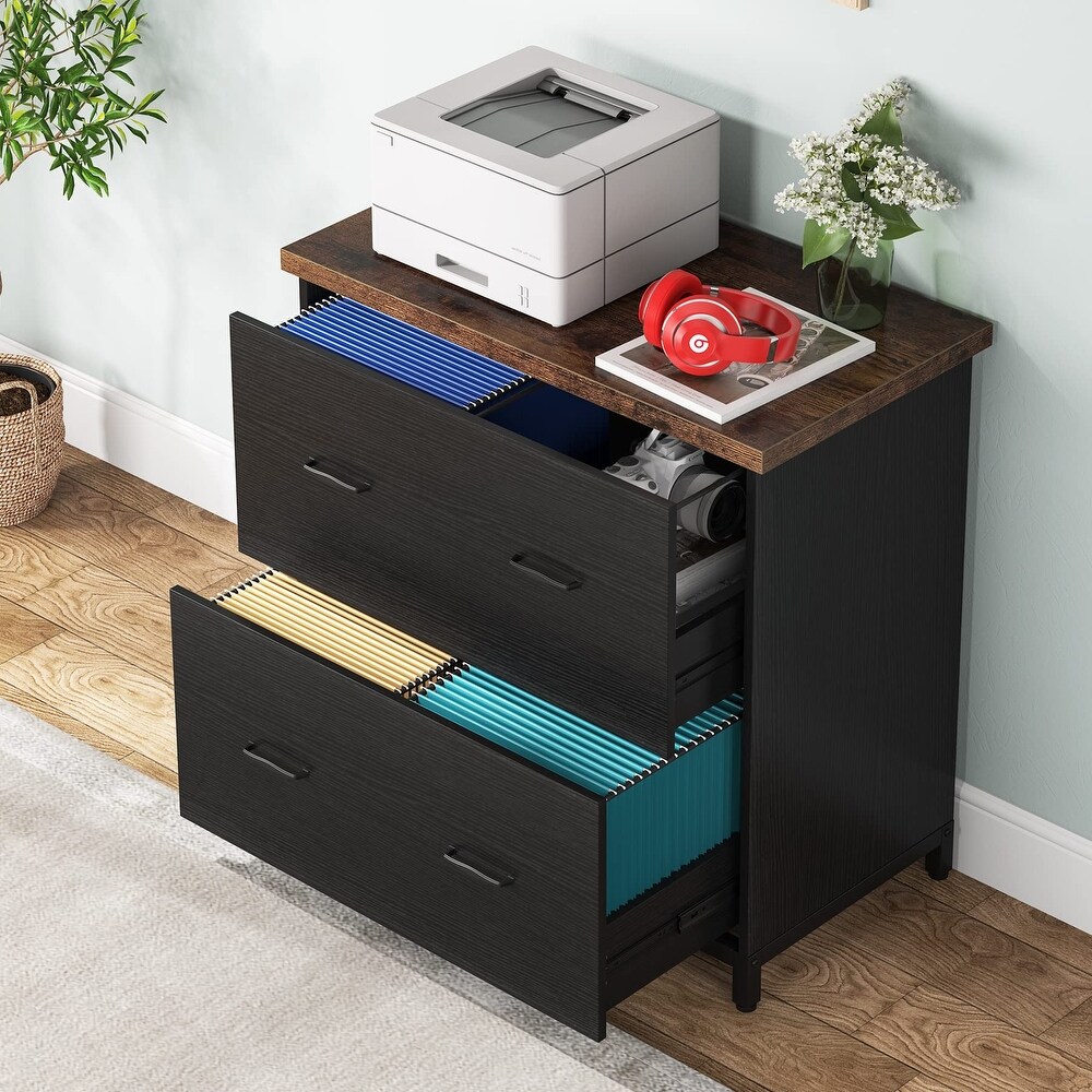 2 Drawer File Cabinet for Home Office  Letter Size