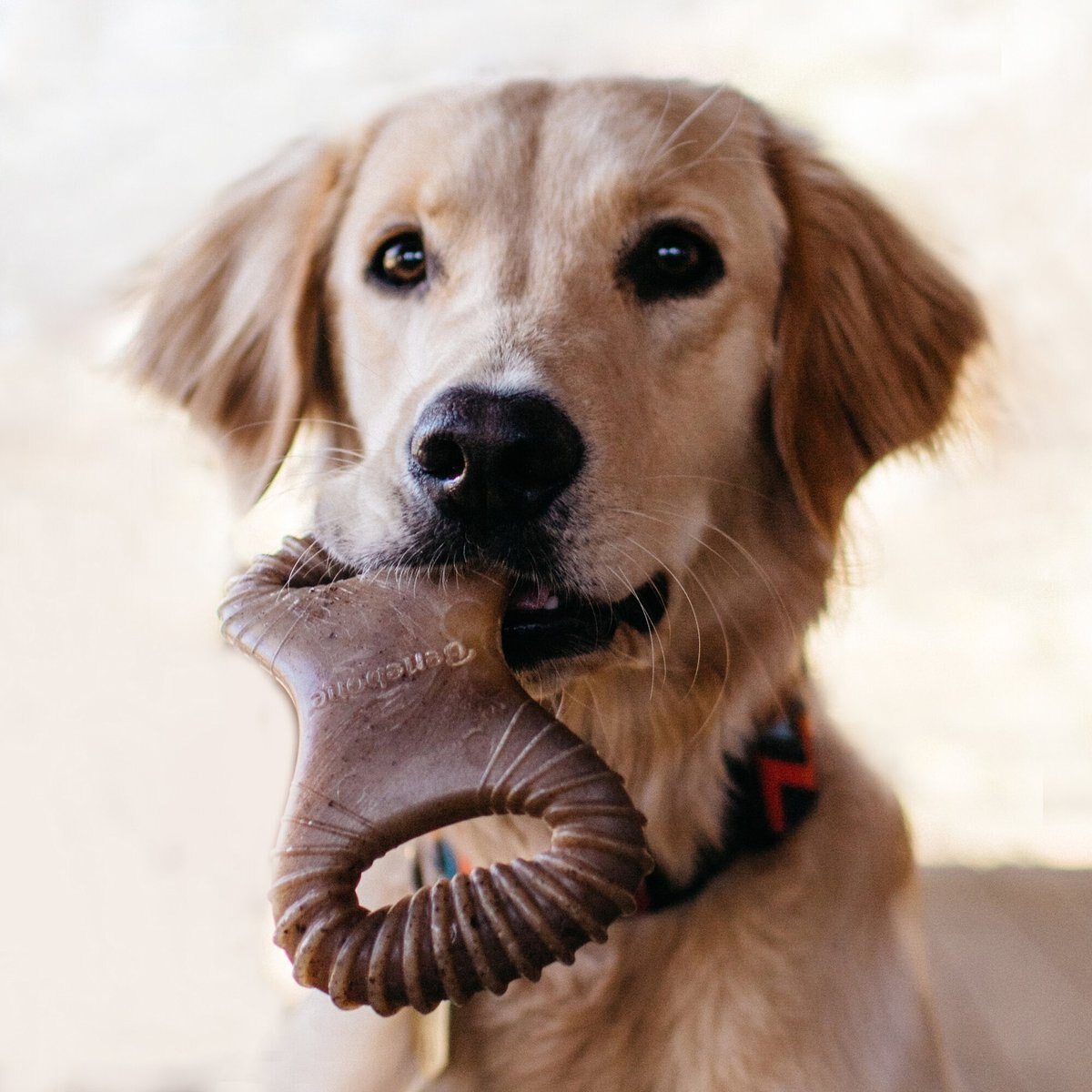 Benebone Peanut Butter Flavor Dental Tough Dog Chew Toy