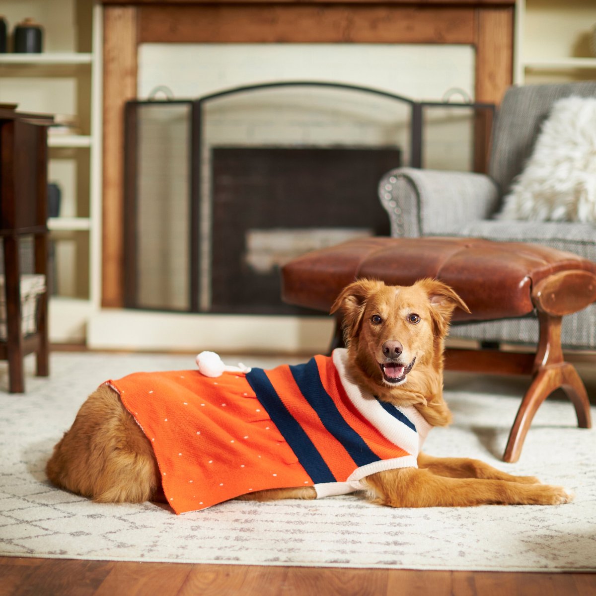 Frisco Pom Pom Bow Striped Dog and Cat Sweater Dress