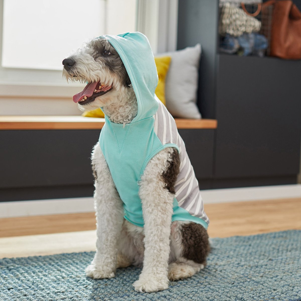 Frisco Striped Colorblock Dog and Cat Hoodie， Teal