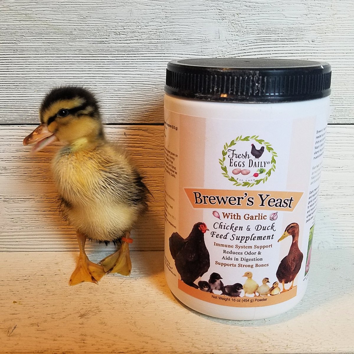 Fresh Eggs Daily Brewers Yeast with Garlic Chicken and Duck Feeding Supplement