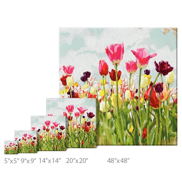 Sullivans Darren Gygi Tulip Field Canvas Museum Quality Giclee Print Gallery Wrapped Handcrafted In Usa