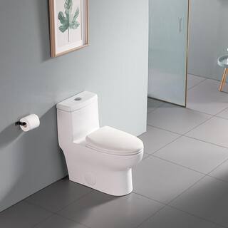 12 in. Rough-In 1-piece 1.61.1 GPF Dual Flush Elongated Toilet in White Slow Close Seat Included ALDMT78SM