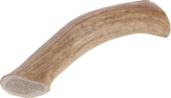 Redbarn Whole Elk Antler Dog Chew， XX-Large