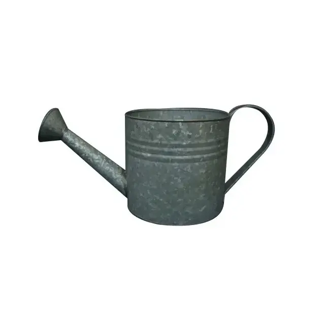 Indian supplies Large Capacity Galvanized Metal Water can powder coated metal watering can for Farm and Garden planter