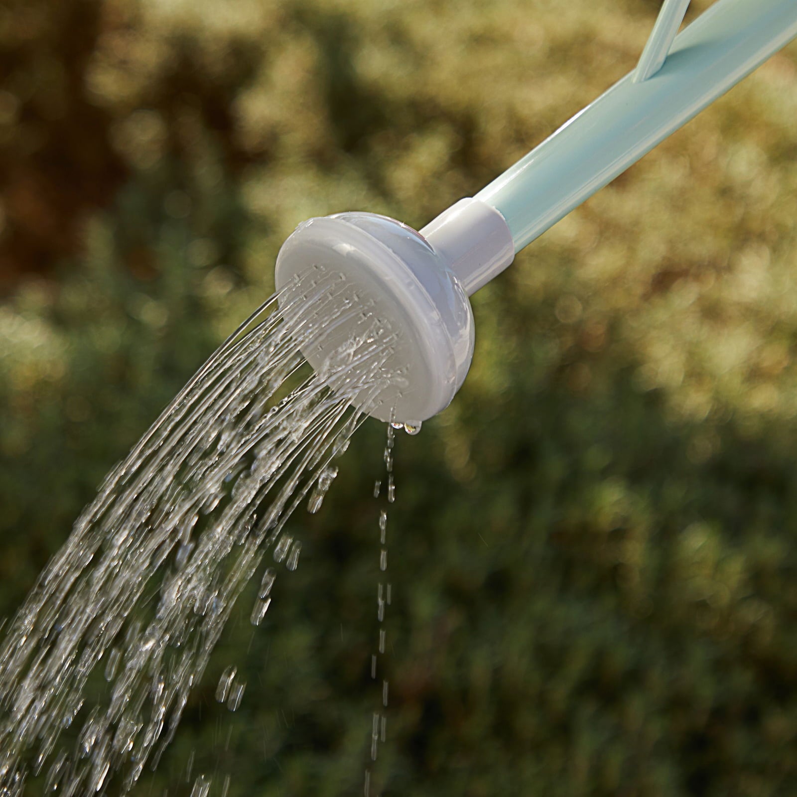 Small Mint Green Plastic Watering Can with Long Spout Sprinkler Head for Garden, Indoor and Outdoor Plants, Flowers, 0.4 Gallon