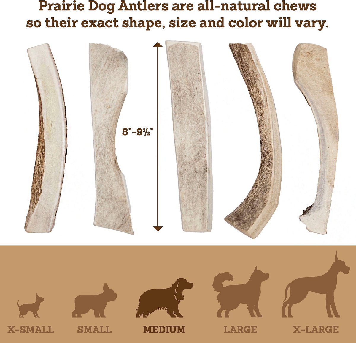 Prairie Dog Split Moose Antler Dog Chews， 8 - 9.5 inch