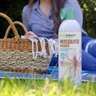 EcoSmart 14 oz. Natural Mosquito Fogger with Plant-Based Rosemary Oil and Peppermint Oil Aerosol Spray Can (2-Pack) ECSM-33726-01EC