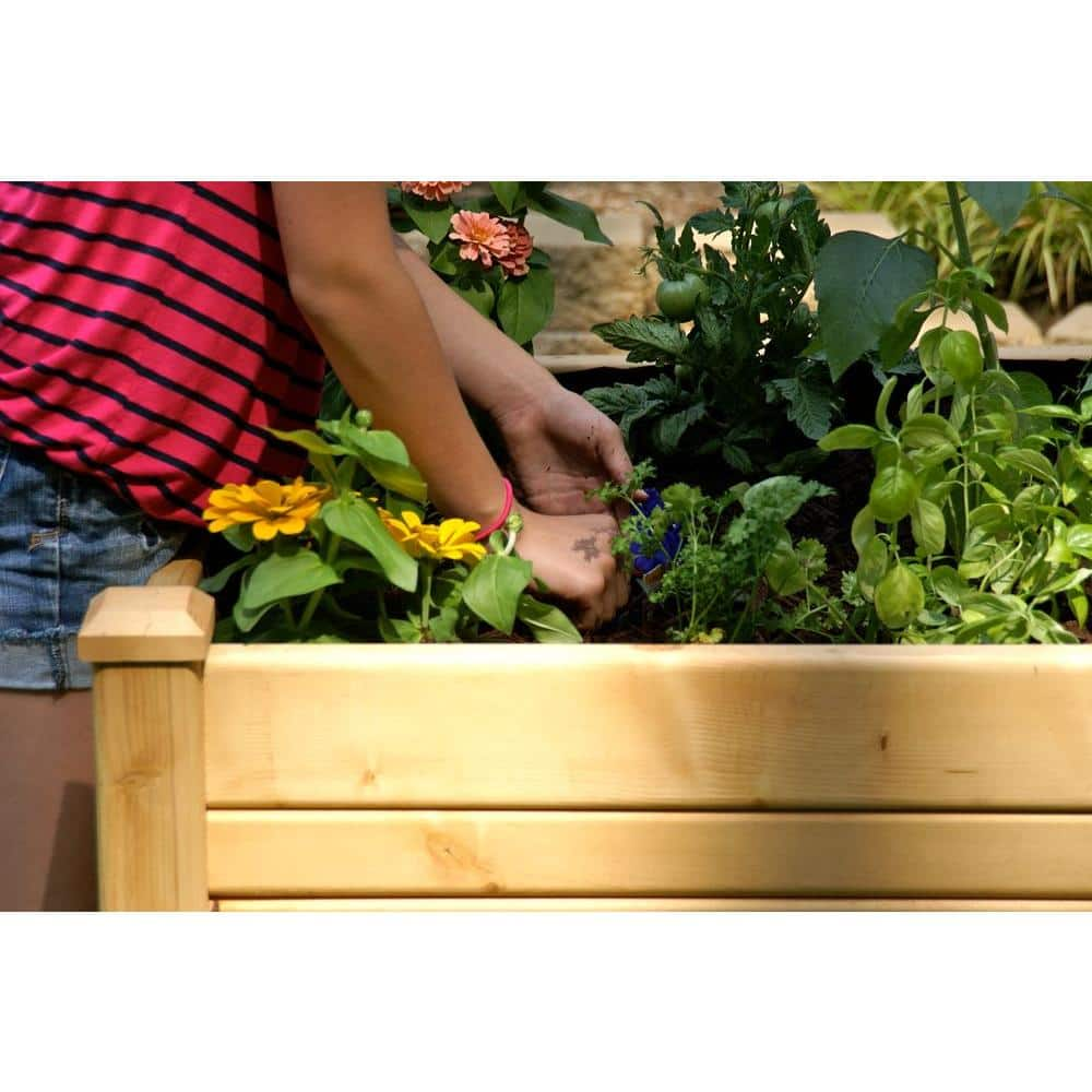 Eden 3 ft. x 4 ft. Cedar Raised Garden Bed RGT-34