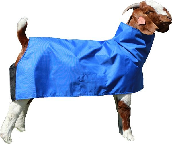 Sullivan Supply Tough Tech Goat Blanket