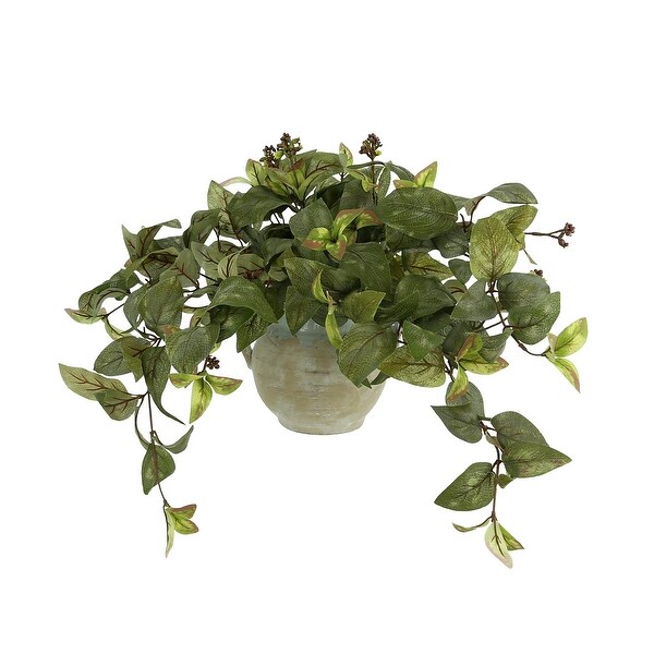 Ivy Arrangement in a Clay Pot