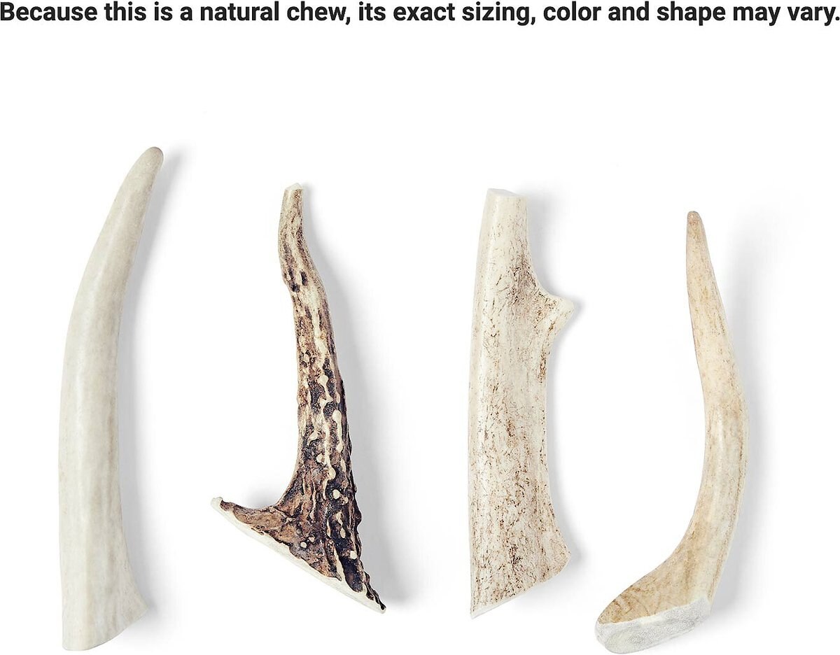 Bones and Chews Made in USA Deer Antler Dog Chew