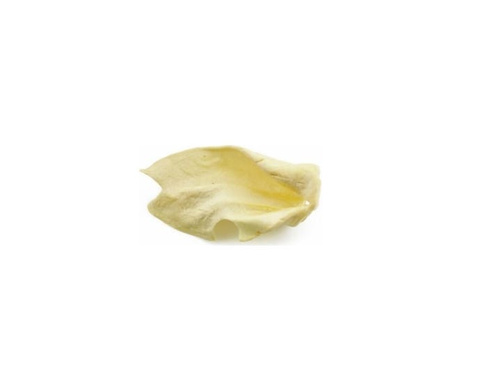 Cow Ear Dog Treat， 1 Ear - 500C01