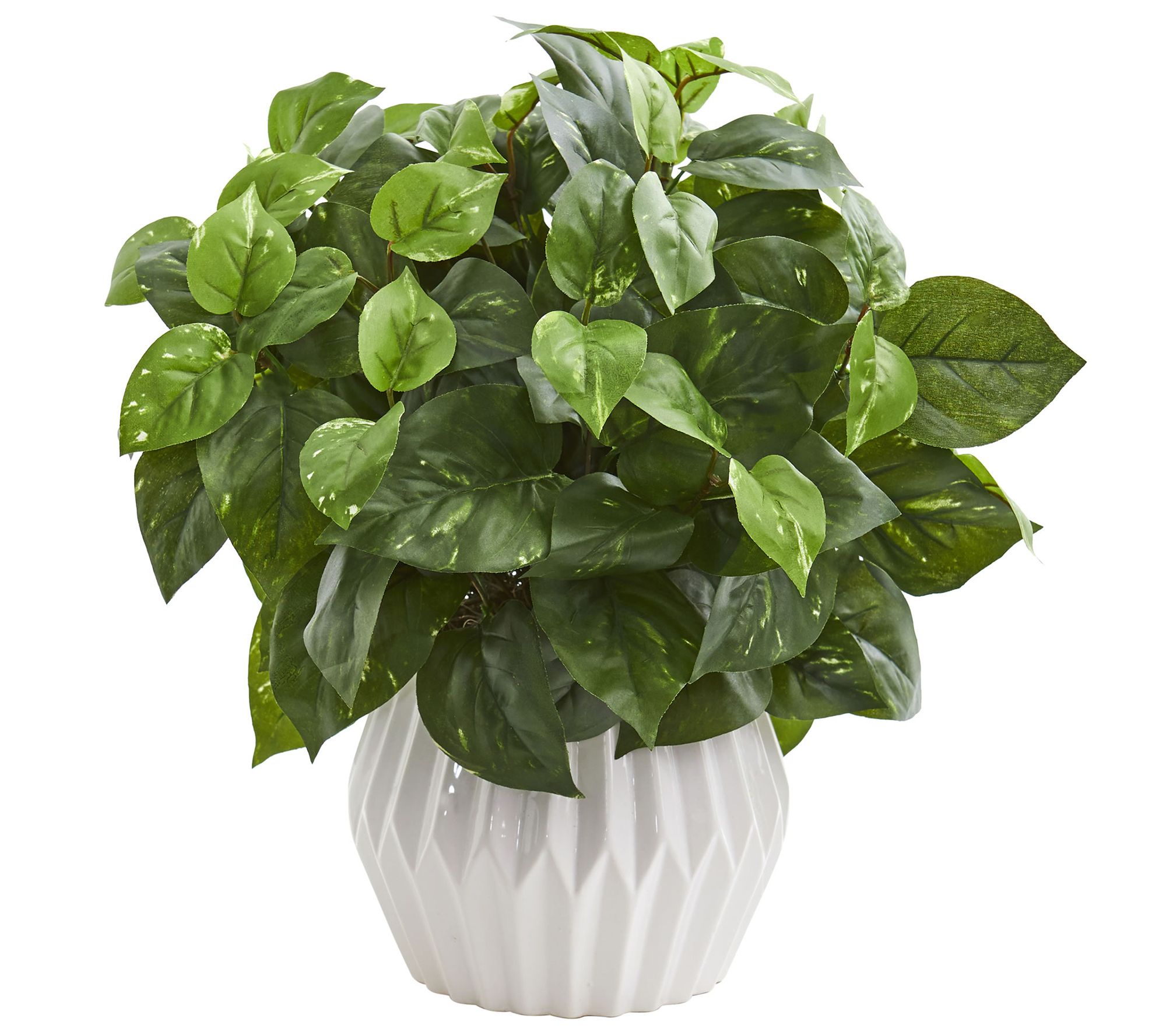 16'' Pothos Artificial Plant in Vase by NearlyNatural