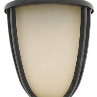 Hampton Bay 1-Light Rustic Iron Outdoor Wall-Mount Lantern Sconce (2-Pack) ESS1691M