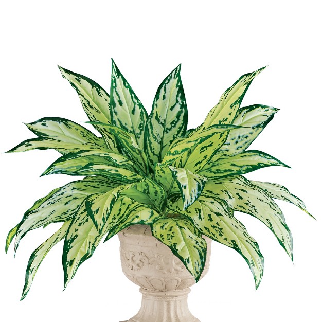 Collections Etc Artificial Dieffenbachia Bush Bundles - Set Of 2 Green