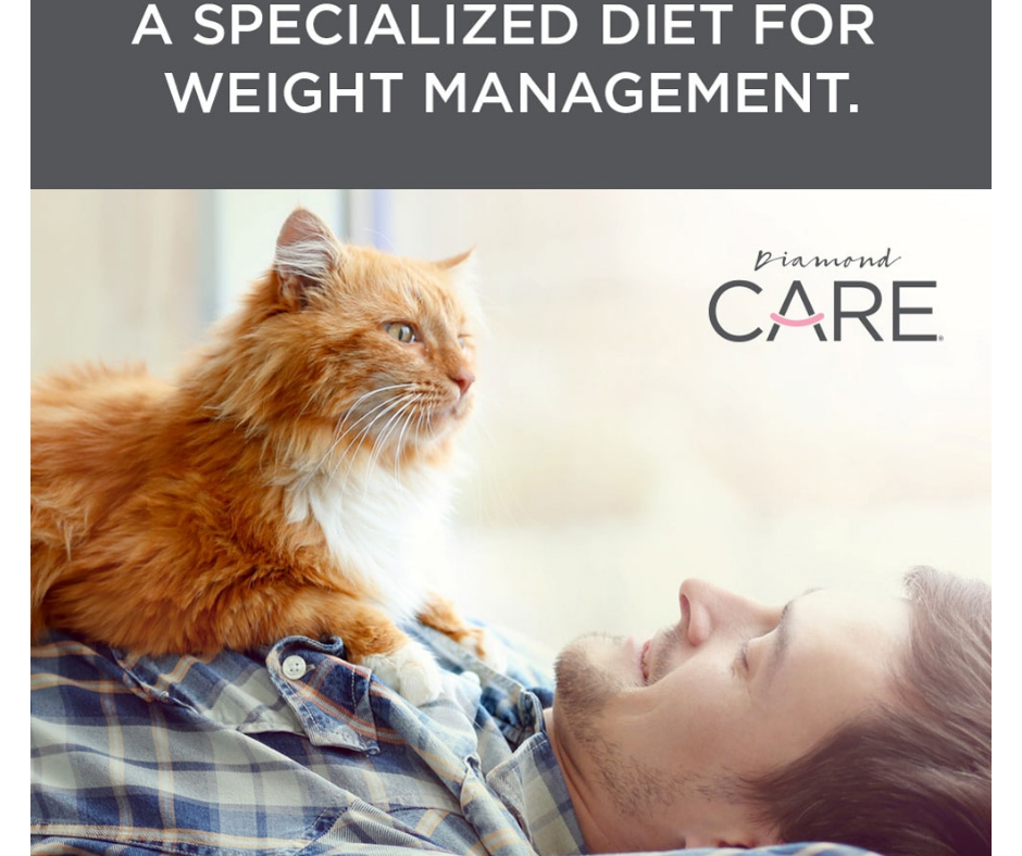 Diamond Care - Overweight， Adult Cat Weight Management Formula Dry Cat