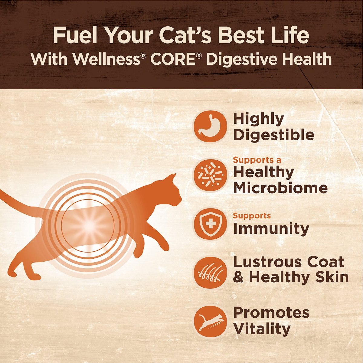 Wellness CORE Digestive Health Wholesome Grains Salmon and Rice Recipe Dry Cat Food