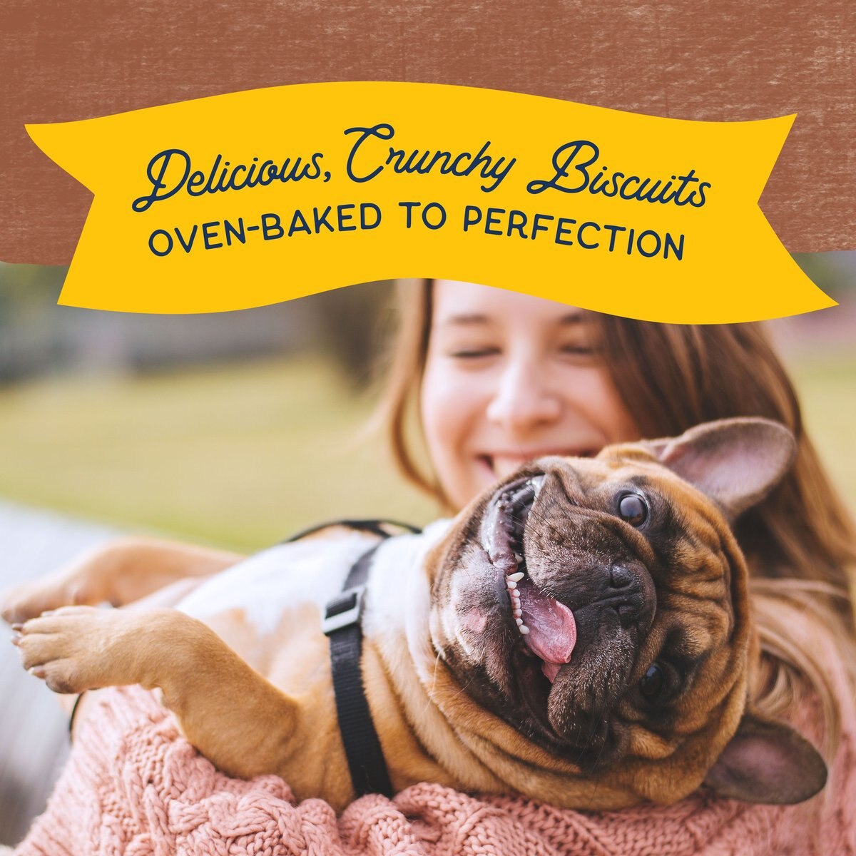 Natural Balance Rewards Crunchy Biscuits With Real Beef Dog Treats