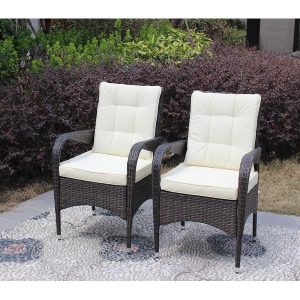 Outdoor Patio Furniture Set Conversation Set 2Piece Resin Wicker Dining Sofa Chair Set for Patio，Backyard，Garden，Meadow