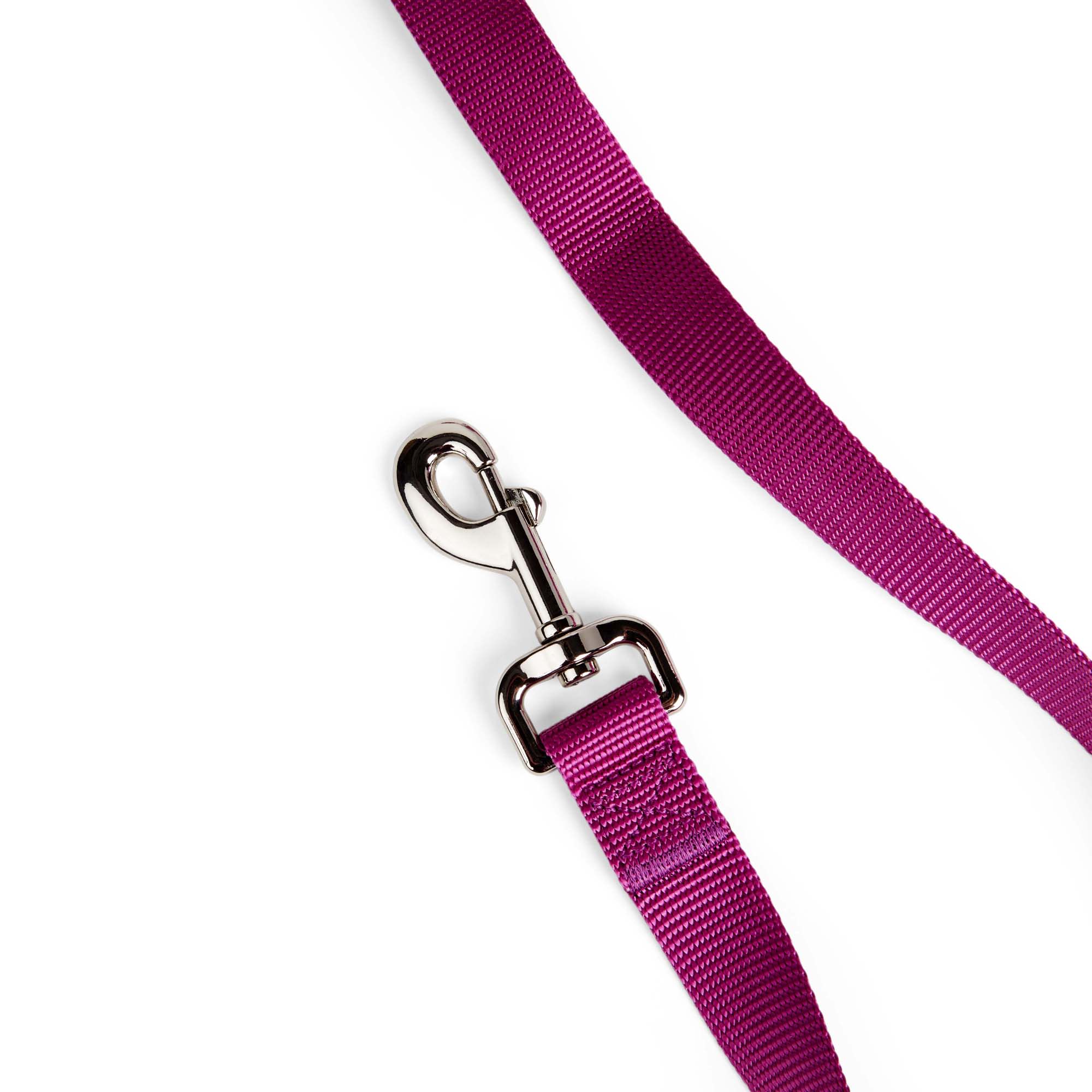 YOULY Berry Dog Lead， 6 ft.， X-Small