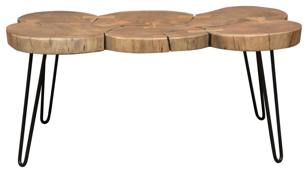 Joss Natural Acacia Live Edge Rectangle Cocktail Table  Black Hairpin Legs   Rustic   Coffee Tables   by Morning Design Group  Inc  Houzz