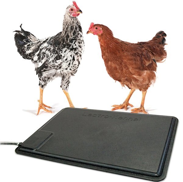 KandH Pet Products Thermo-Chicken Heated Pad