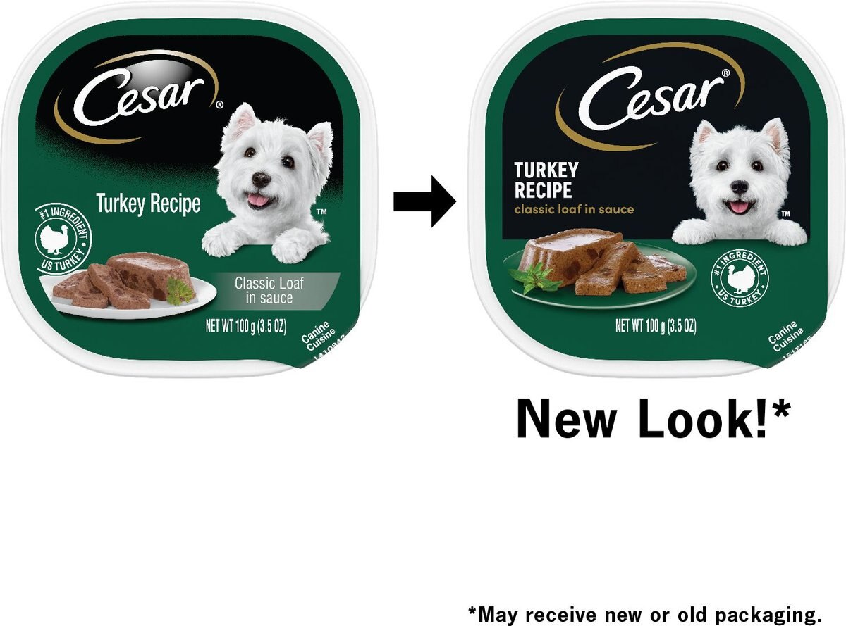 Cesar Classic Loaf in Sauce Turkey Recipe Dog Food Trays